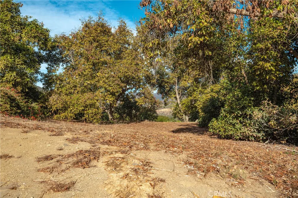 48 Pauma Ridge Road Valley Center, CA 92082