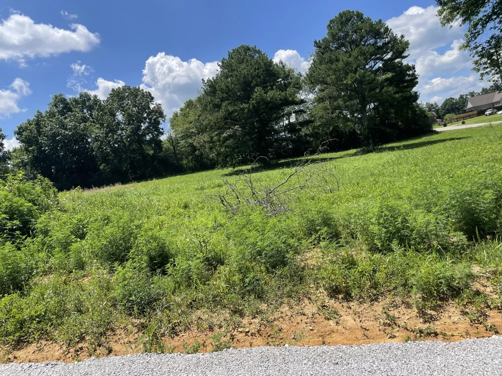 0 Hidden Hills Lane Summertown, TN 38483