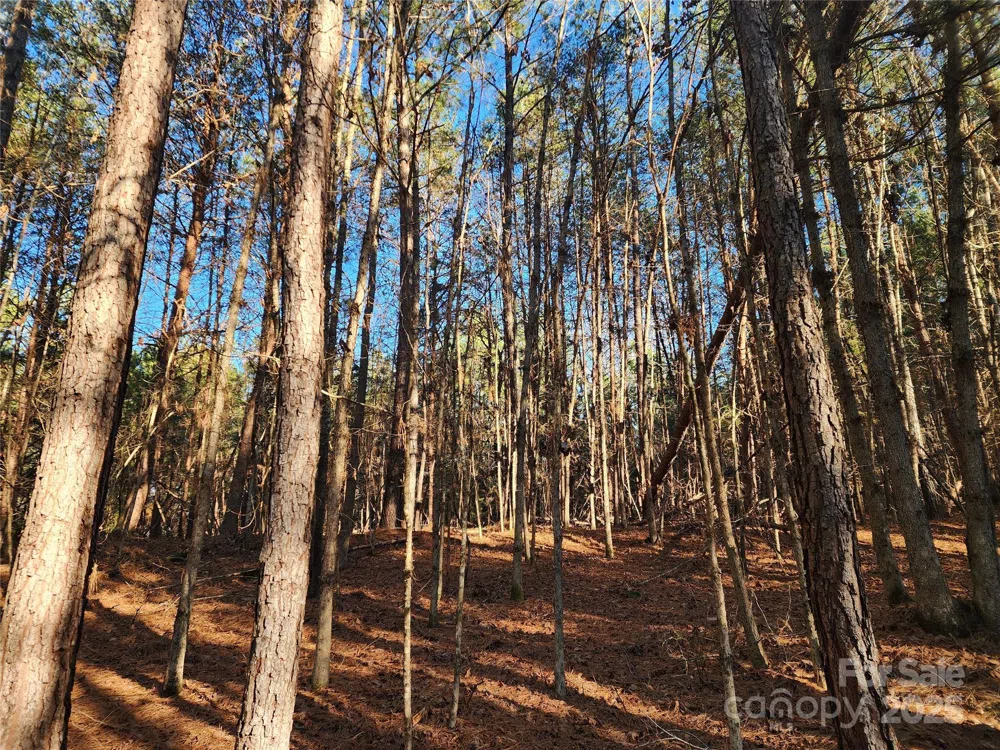 1342 Mcknight Road Smyrna, SC 29743