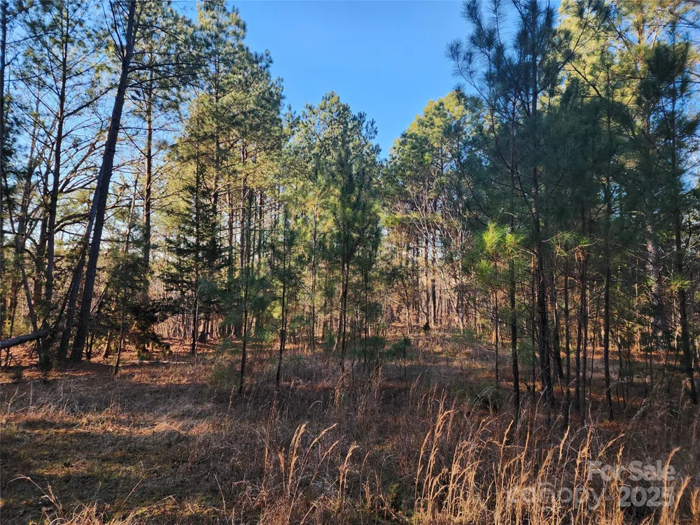 1342 Mcknight Road Smyrna, SC 29743