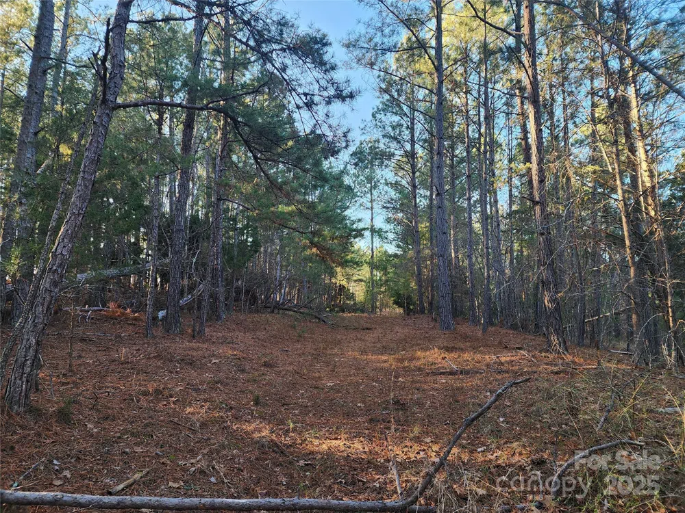 1342 Mcknight Road Smyrna, SC 29743