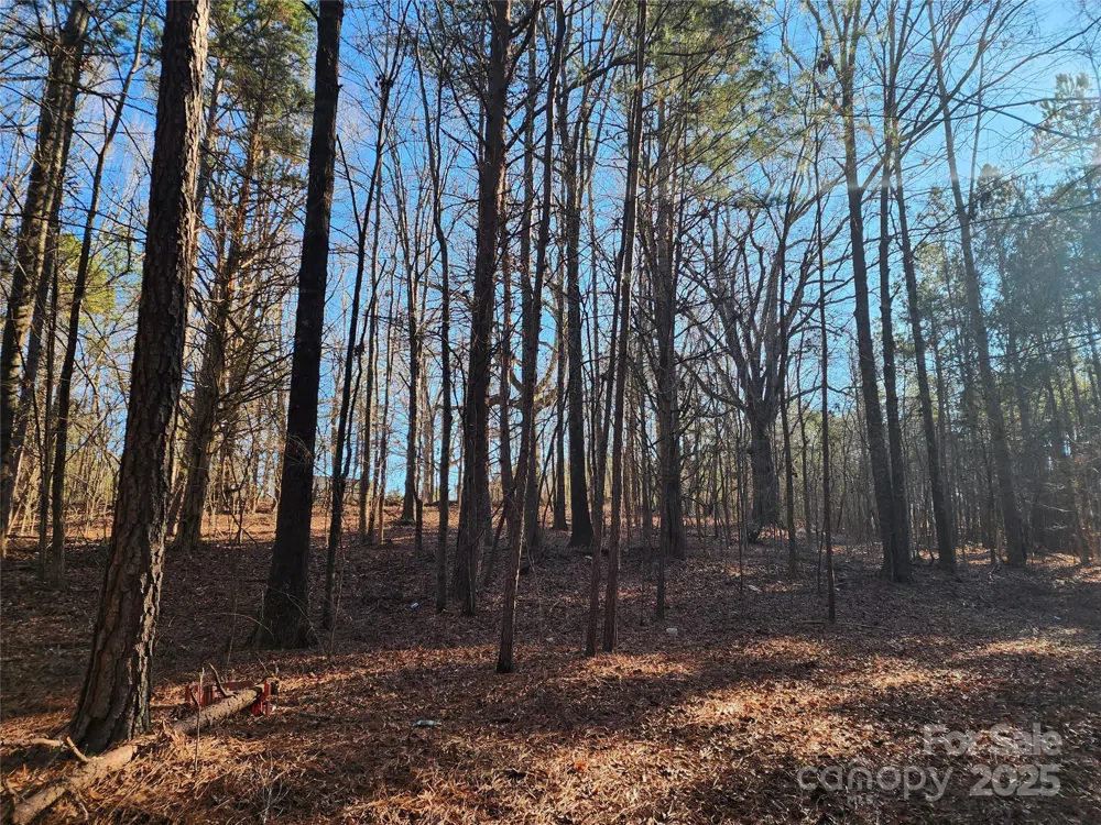 1342 Mcknight Road Smyrna, SC 29743