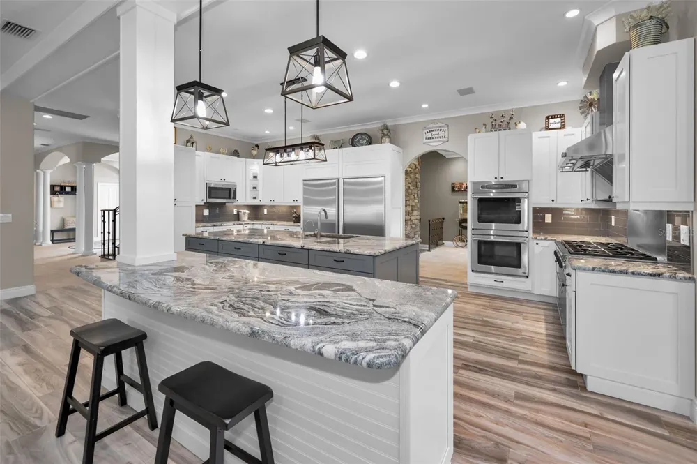 249 DOGWOOD TRACE Tarpon Springs, FL 34688