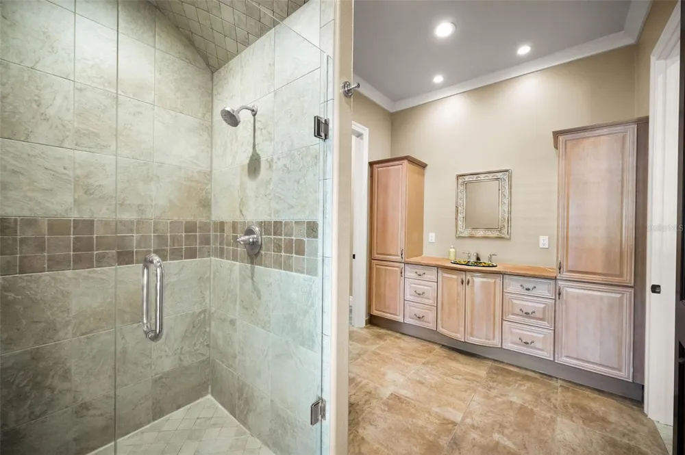 249 DOGWOOD TRACE Tarpon Springs, FL 34688