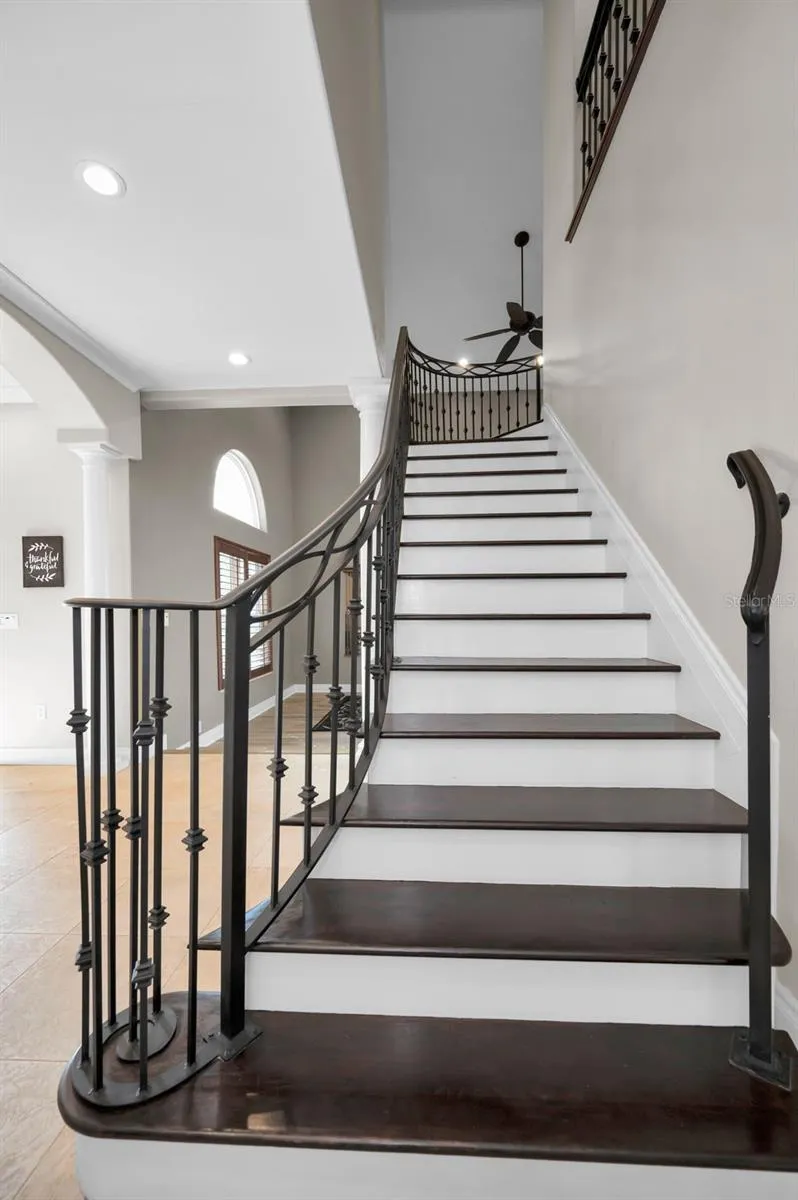 249 DOGWOOD TRACE Tarpon Springs, FL 34688