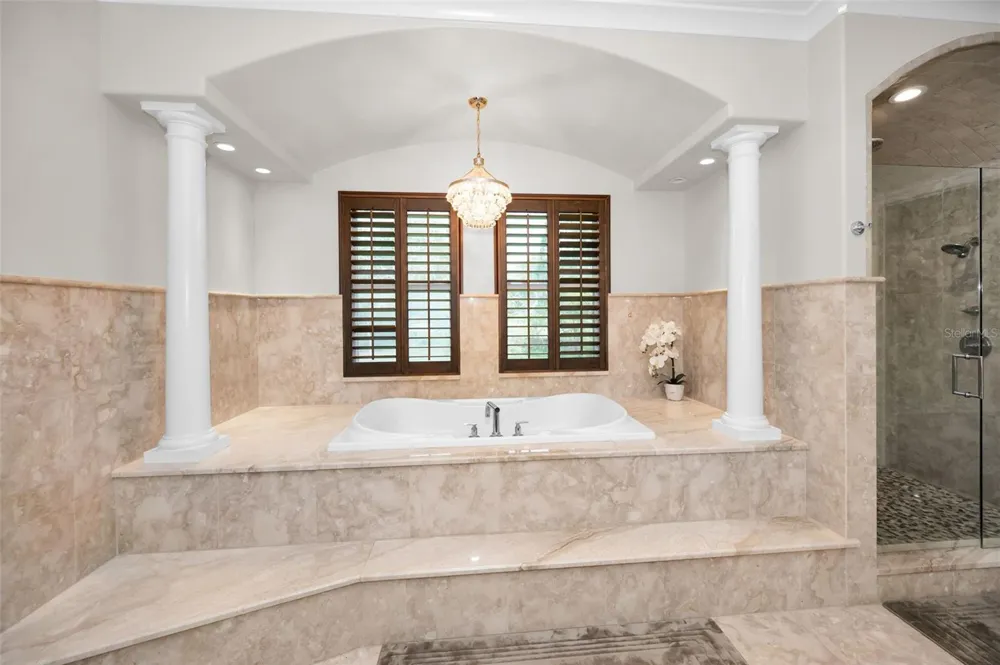 249 DOGWOOD TRACE Tarpon Springs, FL 34688