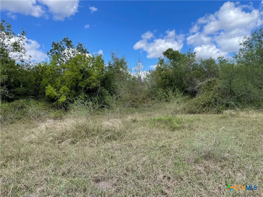 1787 FM 446 Victoria, TX 77905