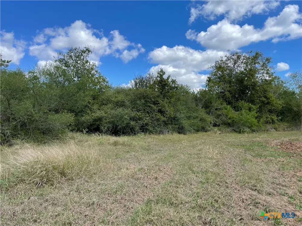 1787 FM 446 Victoria, TX 77905
