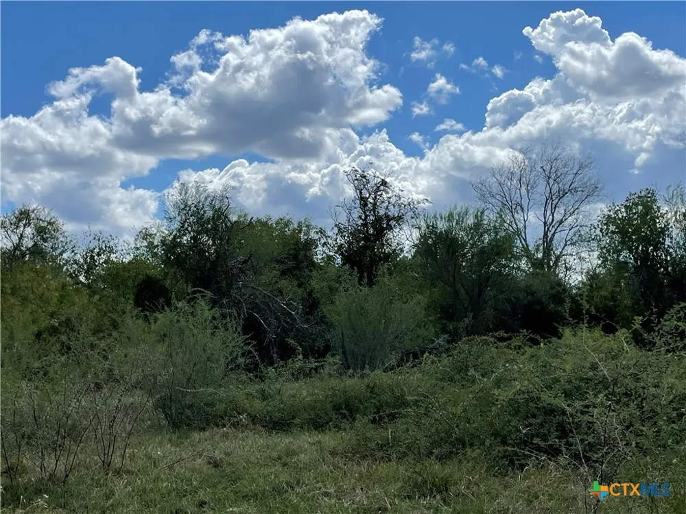 1787 FM 446 Victoria, TX 77905
