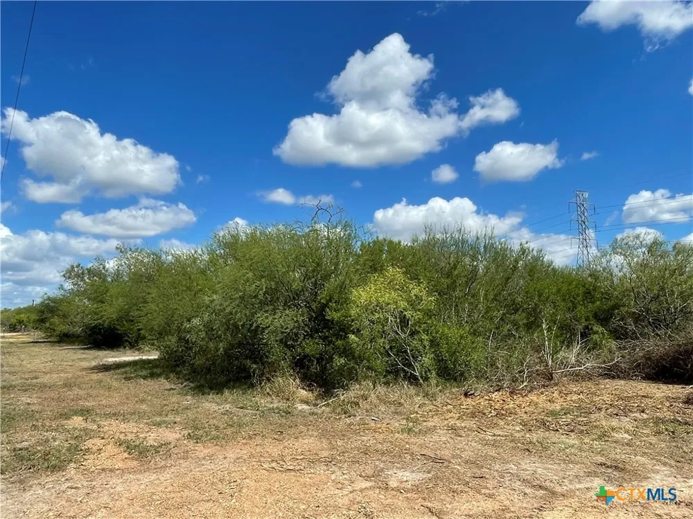 1787 FM 446 Victoria, TX 77905
