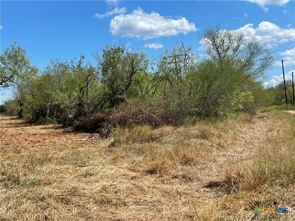 1787 FM 446 Victoria, TX 77905