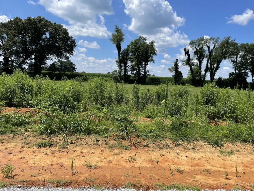 0 Hidden Hills Lane Summertown, TN 38483