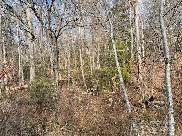 Off US 70 Highway W Highway Old Fort, NC 28762