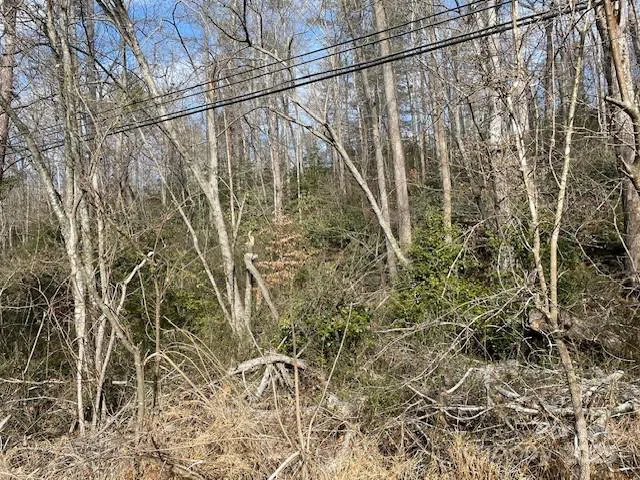 Off US 70 Highway W Highway Old Fort, NC 28762