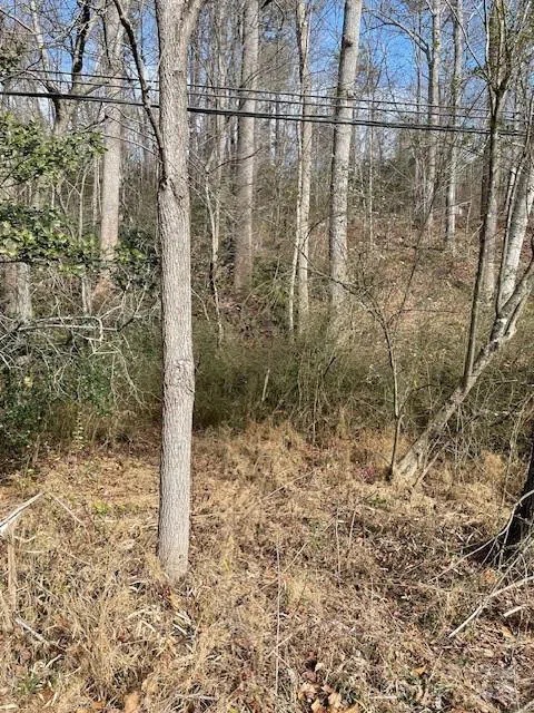 Off US 70 Highway W Highway Old Fort, NC 28762