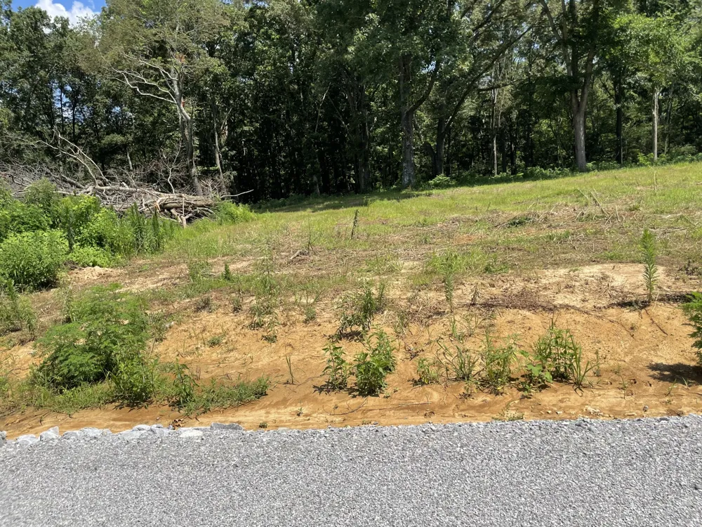 0 Hidden Hills Lane Summertown, TN 38483