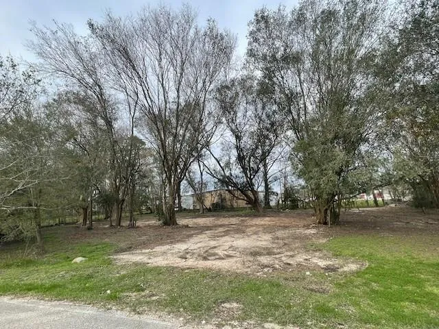 7431 Rodgers Road Manvel, TX 77578