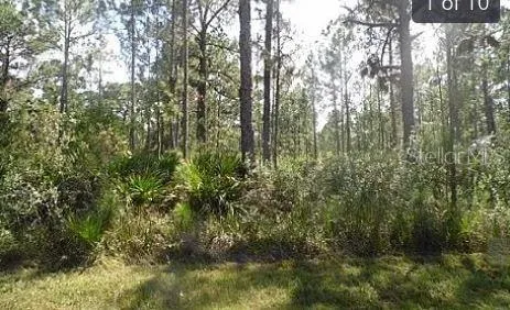 HWY 60 E Lake Wales, FL 33898
