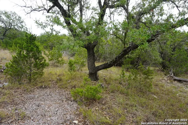 127 Leaders Hill Rd Wimberley, TX 78676