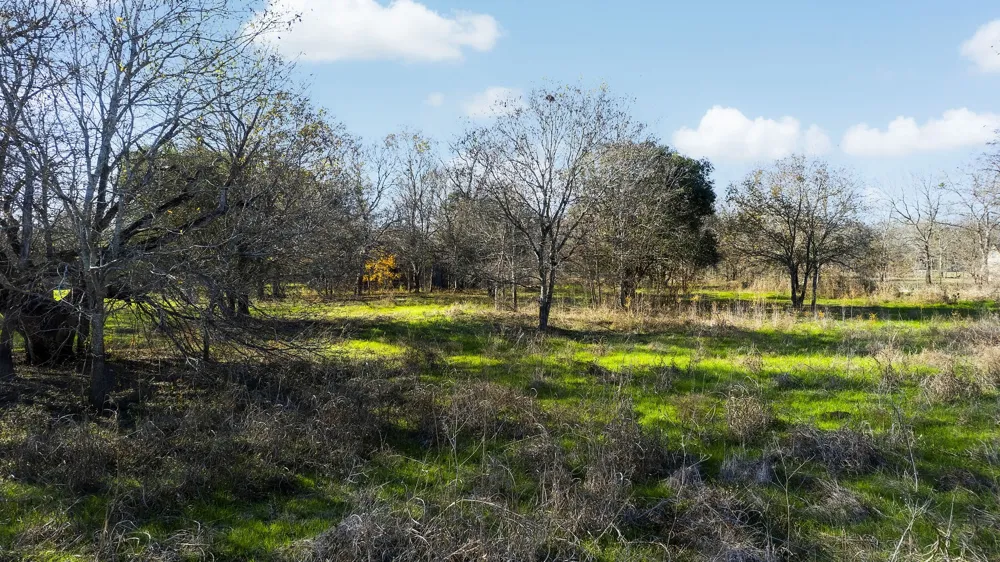 12406 Wirth Road Manchaca, TX 78652
