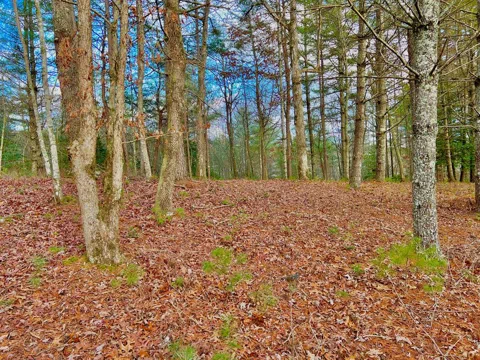 Lot 5 Hawks View
