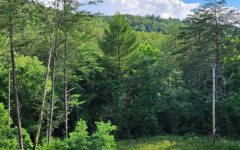 3.5AC Sassafras Ridge Road Turtletown, TN 37391