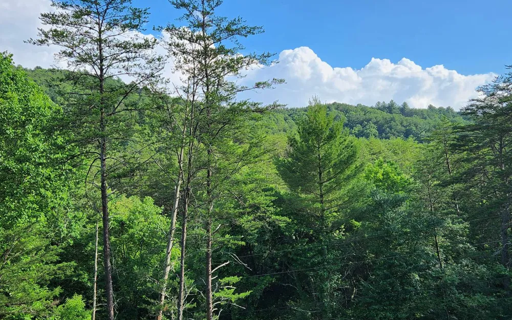3.5AC Sassafras Ridge Road Turtletown, TN 37391
