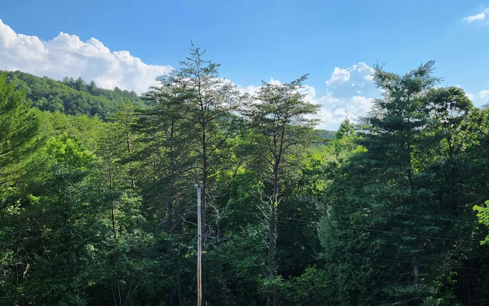 3.5AC Sassafras Ridge Road Turtletown, TN 37391