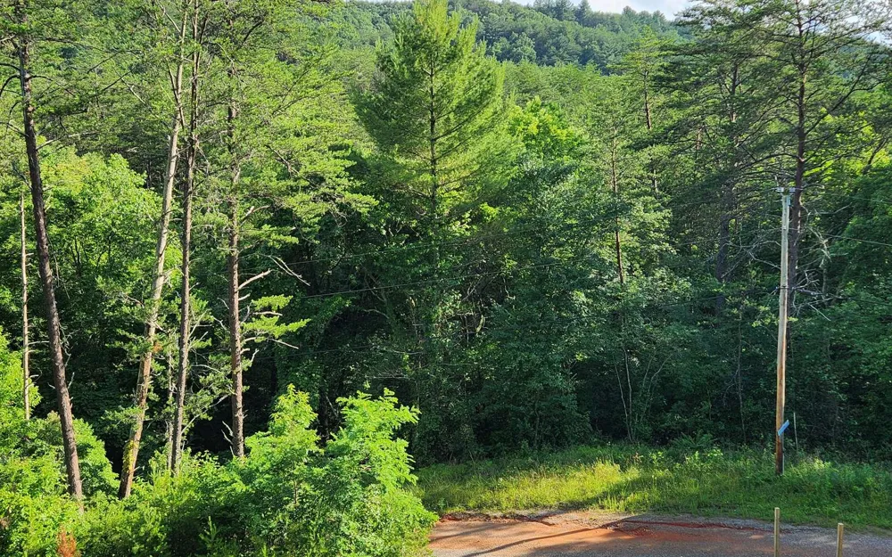 3.5AC Sassafras Ridge Road Turtletown, TN 37391