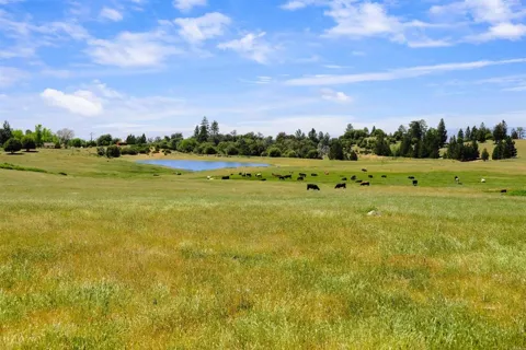 3510 Deer Lake Park Road