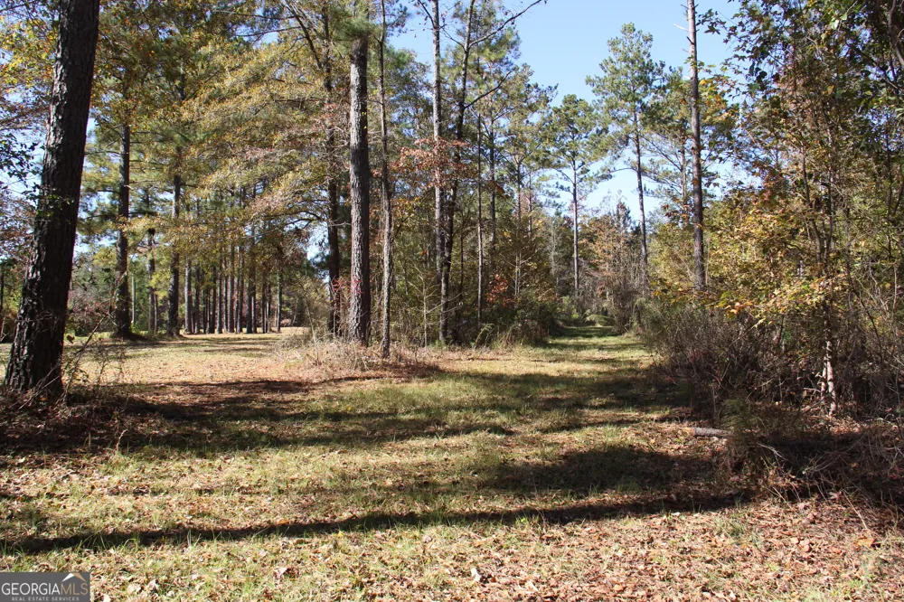 504 Jenkins RD Forsyth, GA 31029