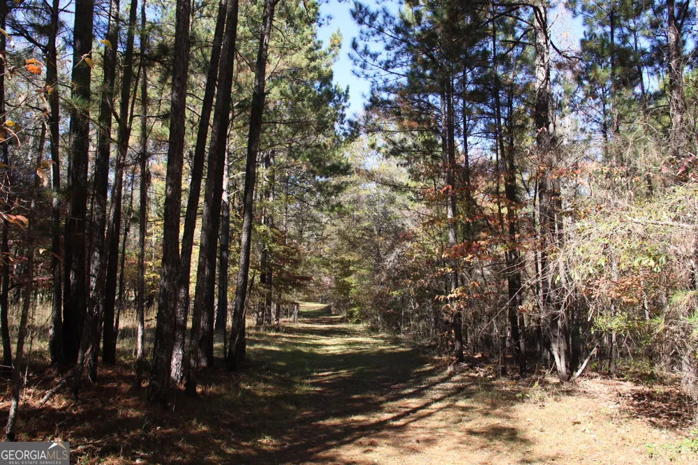 504 Jenkins RD Forsyth, GA 31029