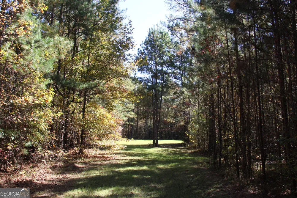 504 Jenkins RD Forsyth, GA 31029