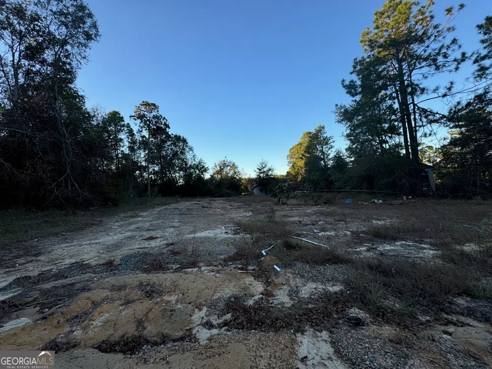 0 US Hwy 280 Alamo, GA 30411