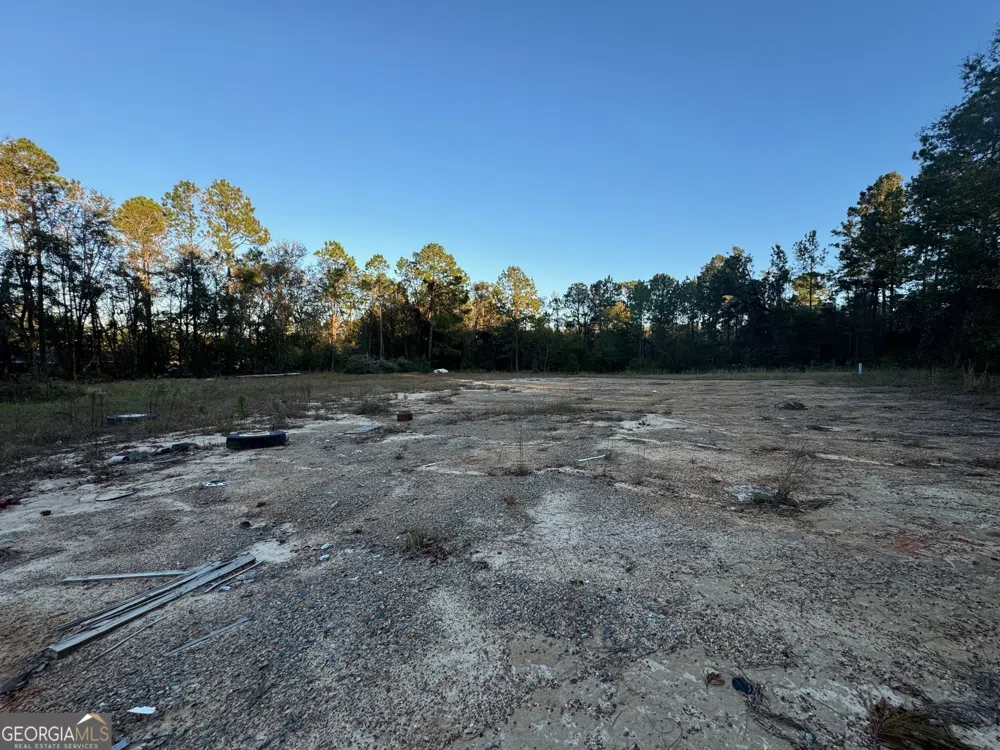 0 US Hwy 280 Alamo, GA 30411