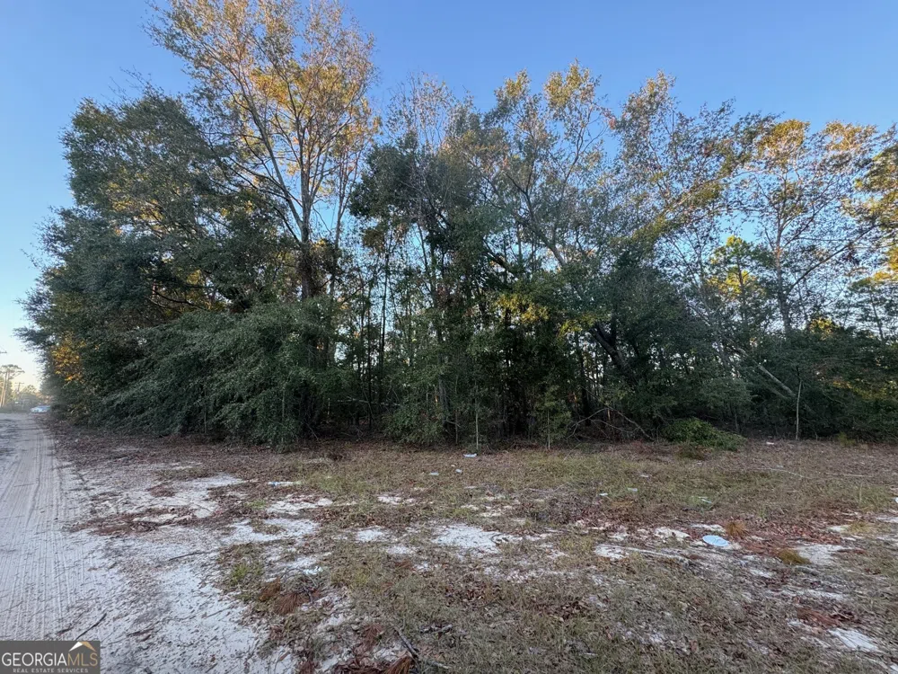 0 US Hwy 280 Alamo, GA 30411
