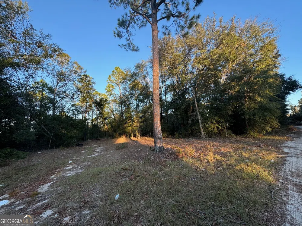 0 US Hwy 280 Alamo, GA 30411