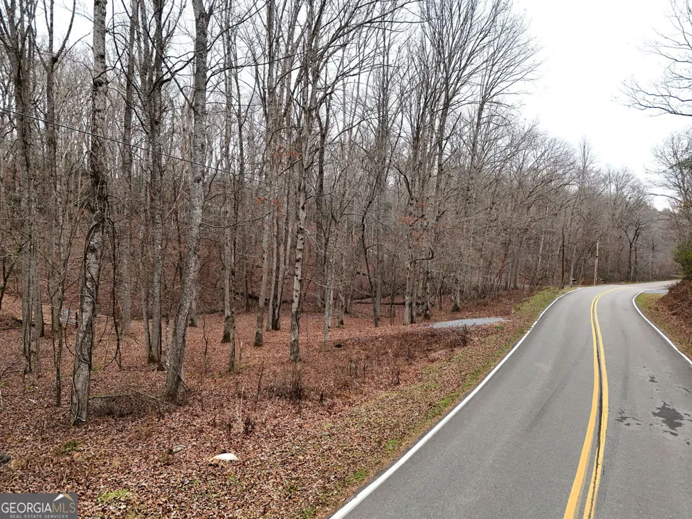 0 Dills RD Blue Ridge, GA 30513