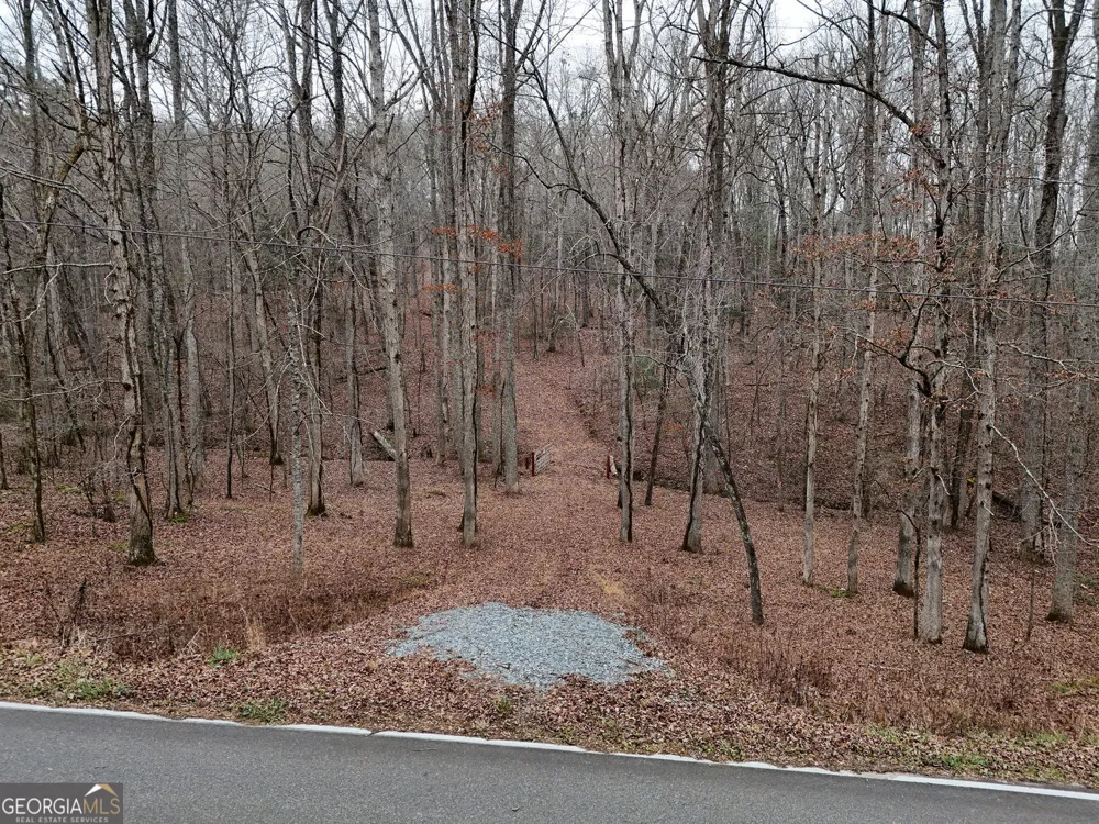 0 Dills RD Blue Ridge, GA 30513