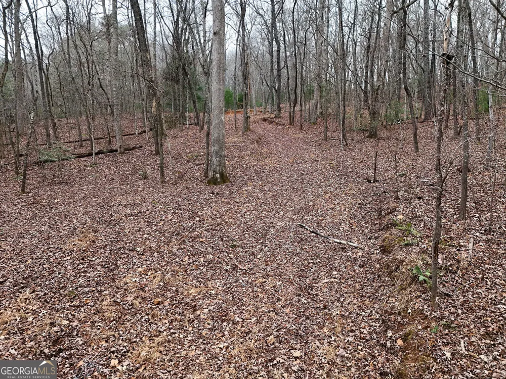 0 Dills RD Blue Ridge, GA 30513