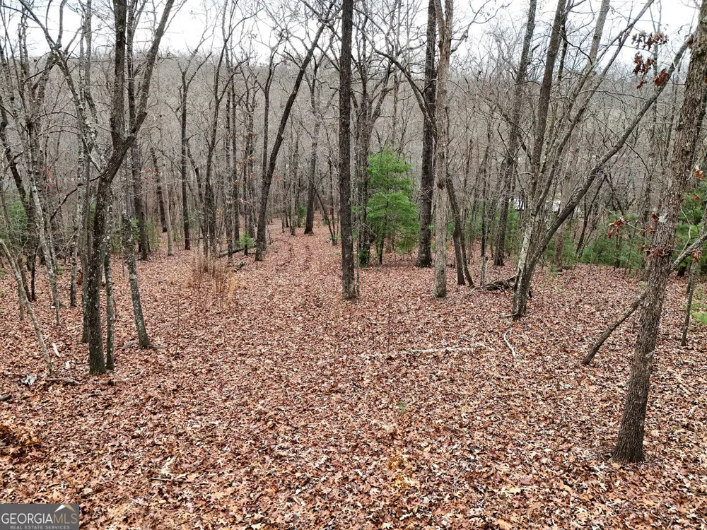 0 Dills RD Blue Ridge, GA 30513