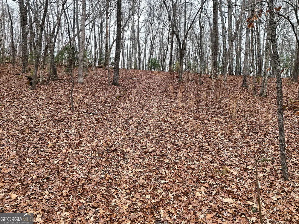 0 Dills RD Blue Ridge, GA 30513