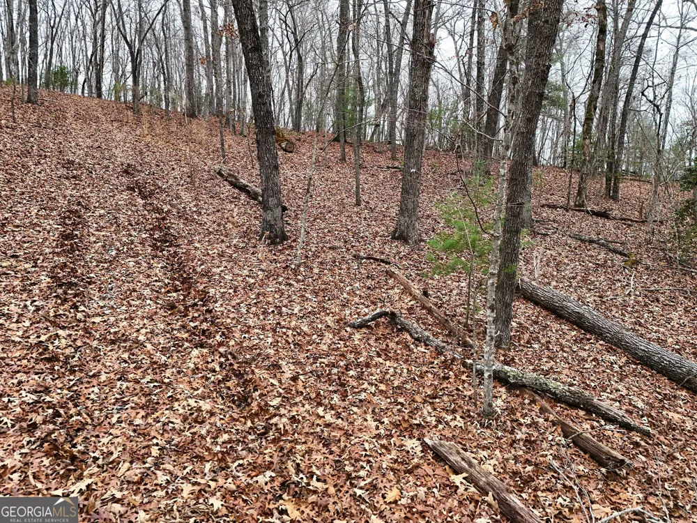 0 Dills RD Blue Ridge, GA 30513