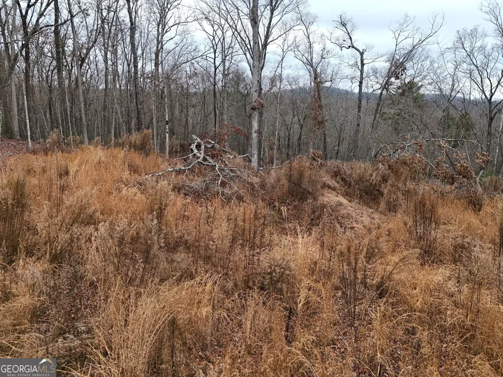 0 Dills RD Blue Ridge, GA 30513