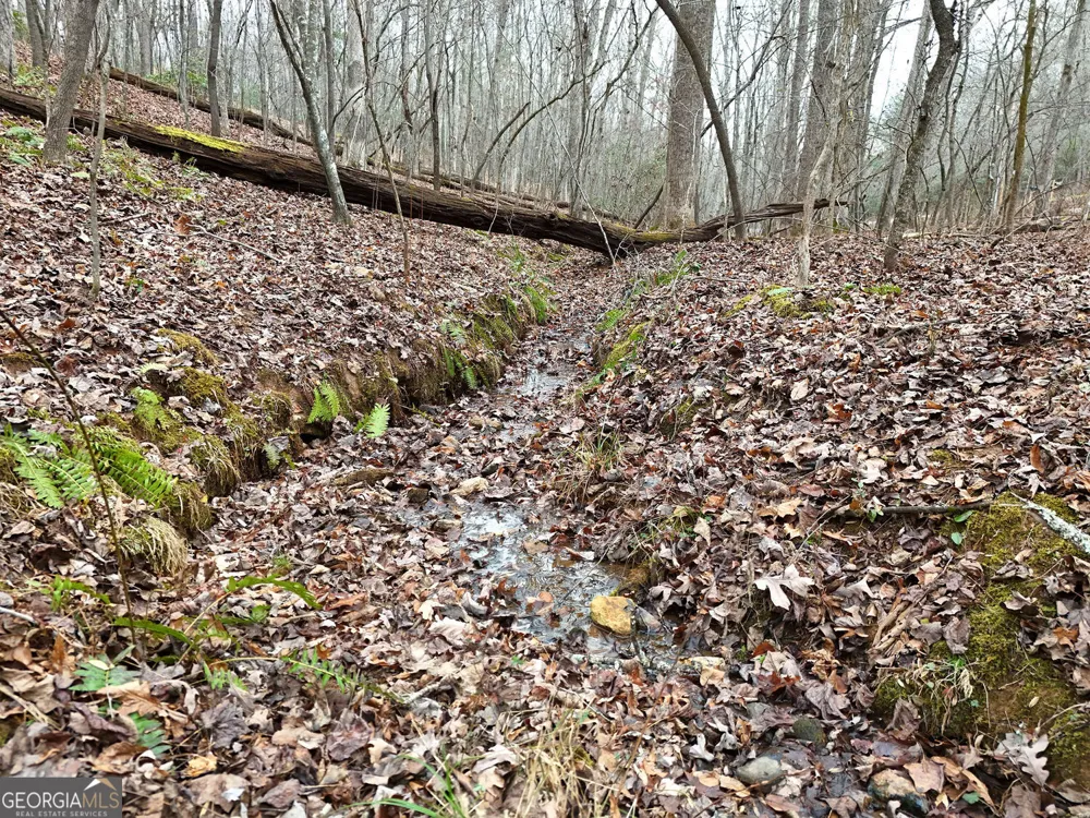 0 Dills RD Blue Ridge, GA 30513
