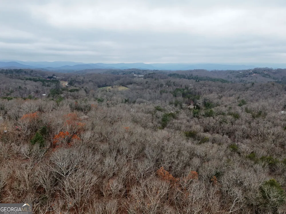 0 Dills RD Blue Ridge, GA 30513