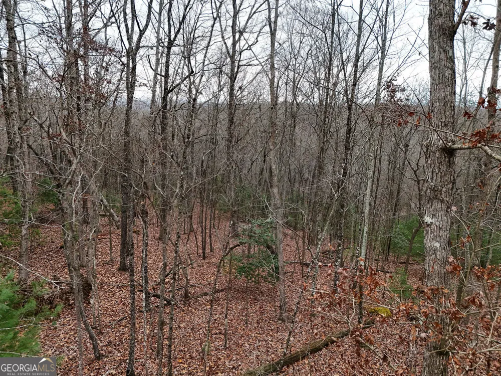 0 Dills RD Blue Ridge, GA 30513
