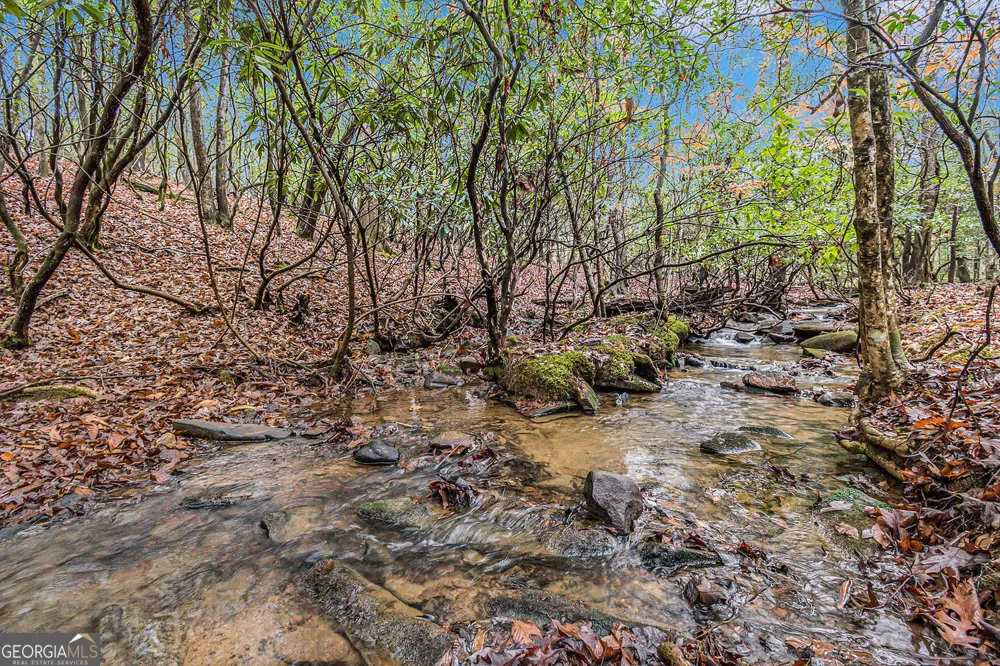 0 Dills RD Blue Ridge, GA 30513