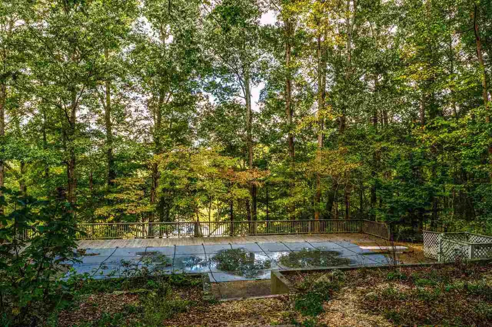 183 Madden RD Bowdon, GA 30108