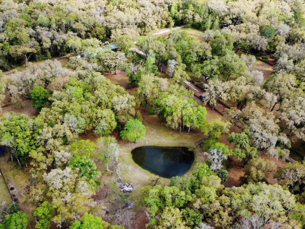 10820 SW 31ST WAY Webster, FL 33597